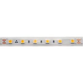 Светодиодная влагозащищенная лента DesignLed 14,4W/m 60LED/m 5050SMD теплый белый 5M 003350